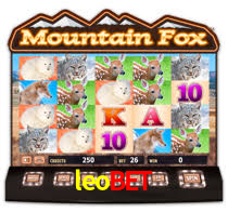 Welcome Bonus leobet